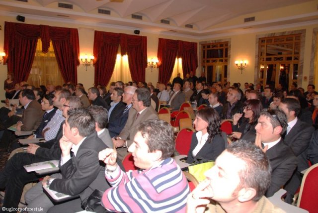 Roma - Convegno Incendi boschivi